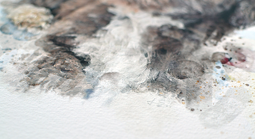 pet portraits in Bedfordshire, Cambridgeshire, Hertfordshire, Northamptonshire, London