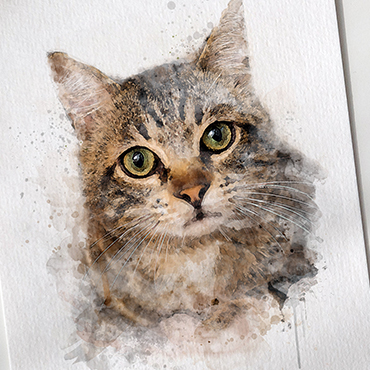 cat portrait